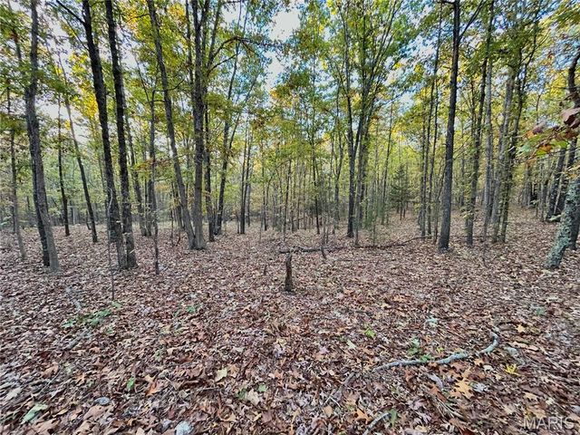 TBD Tract 3 County Road 4215, Salem, MO 65560