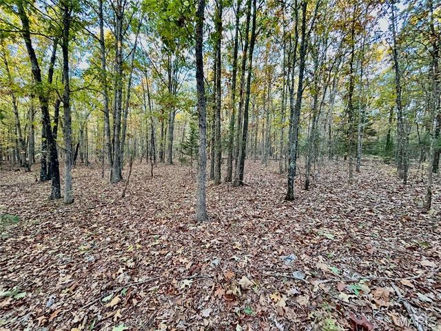 TBD Tract 3 County Road 4215, Salem, MO 65560