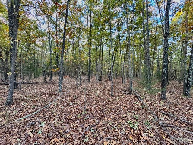 TBD Tract 3 County Road 4215, Salem, MO 65560