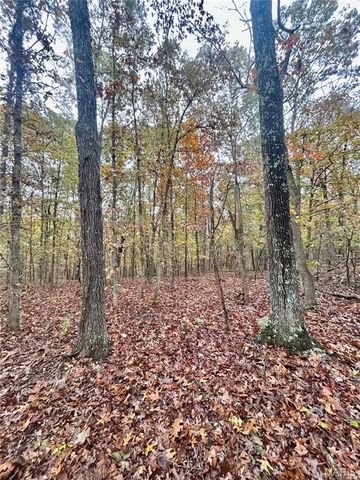 TBD Tract 3 County Road 4215, Salem, MO 65560