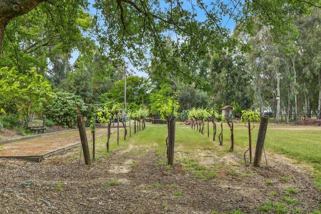 35670 Yellowstone Ave, Davis, CA 95616