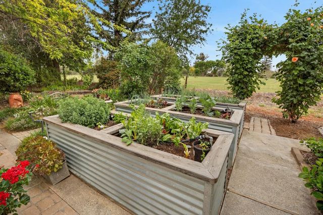 35670 Yellowstone Ave, Davis, CA 95616