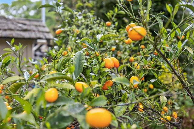 35670 Yellowstone Ave, Davis, CA 95616