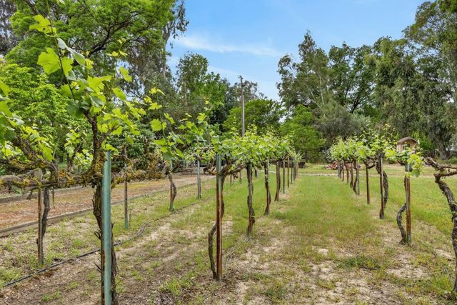 35670 Yellowstone Ave, Davis, CA 95616