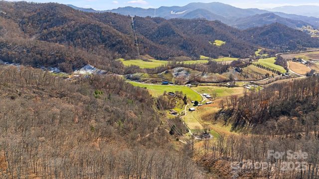 550 Cale Way, Clyde, NC 28721