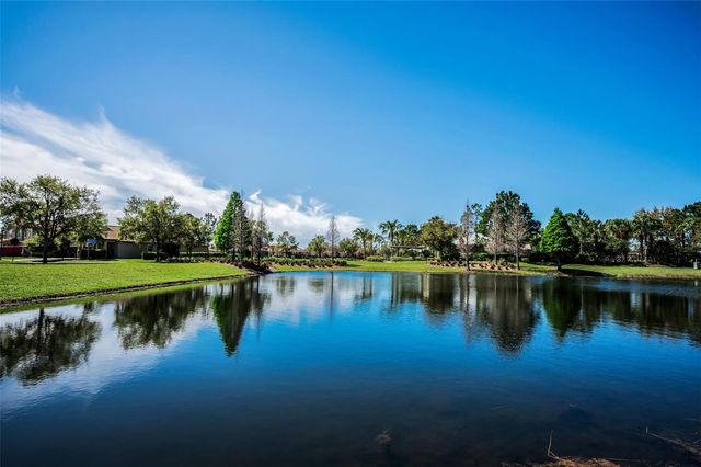 11891 FROST ASTER DRIVE, Riverview, FL 33579