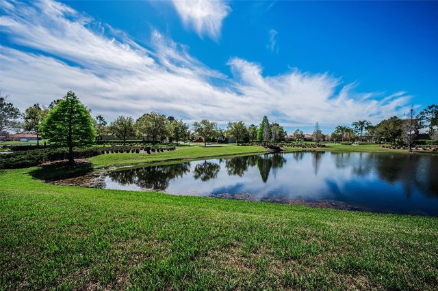 11891 FROST ASTER DRIVE, Riverview, FL 33579