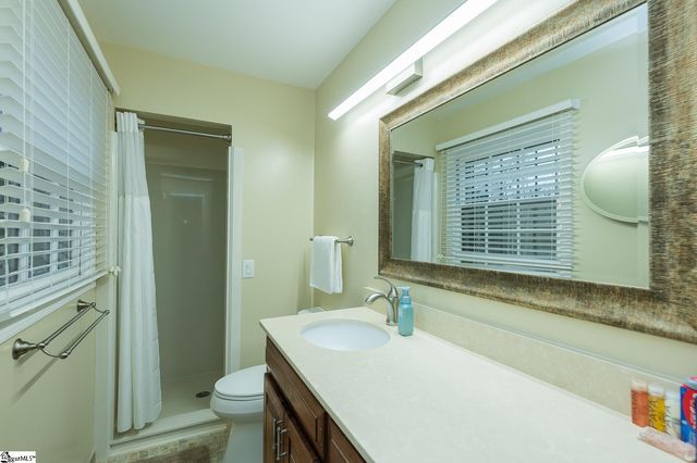 17 Runnymede Road, Greenville, SC 29615