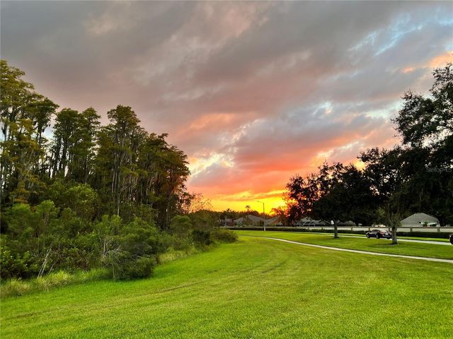 2822 TORRANCE DRIVE, Land O Lakes, FL 34638