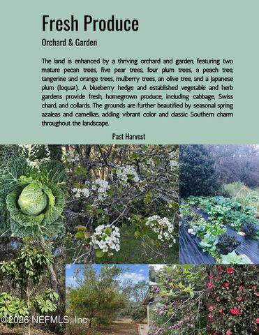 118 DARBY Drive, Palatka, FL 32177