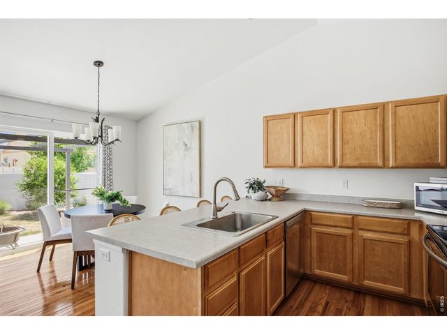 807 Saiga Dr, Windsor, CO 80550