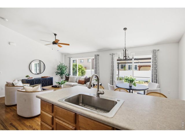 807 Saiga Dr, Windsor, CO 80550