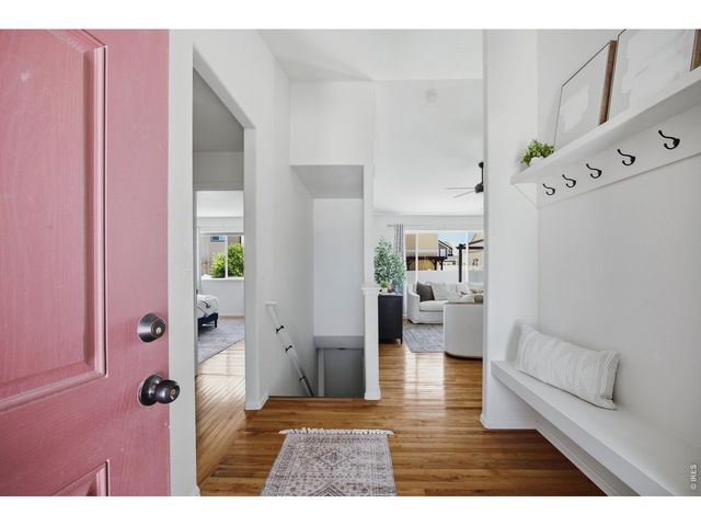 807 Saiga Dr, Windsor, CO 80550