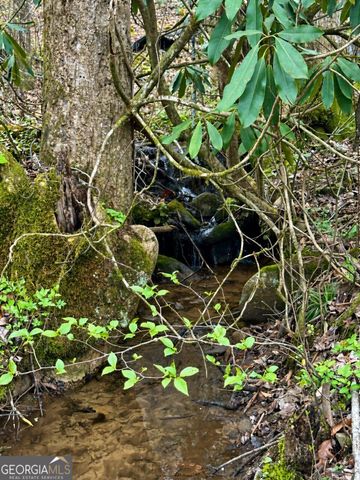 LOT 17 Turquoise Ridge, Blue Ridge, GA 30513
