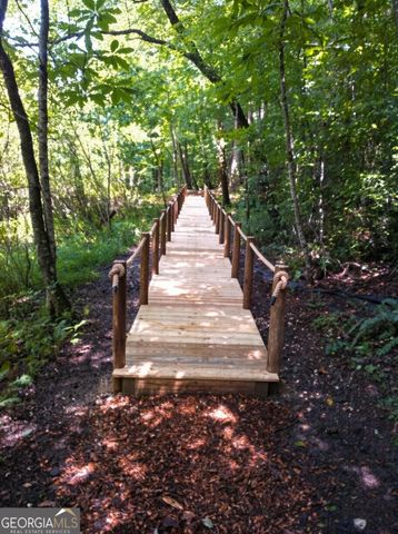 LOT 17 Turquoise Ridge, Blue Ridge, GA 30513