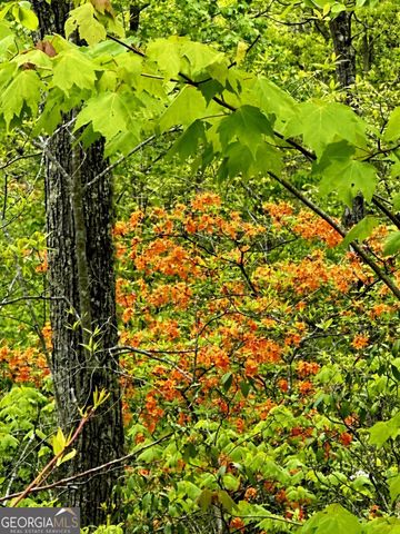 LOT 17 Turquoise Ridge, Blue Ridge, GA 30513