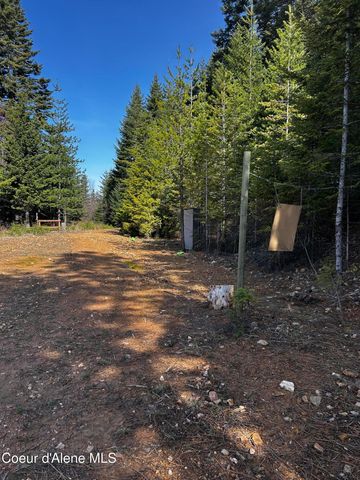 24102 N Derting RD, Hayden, ID 83835