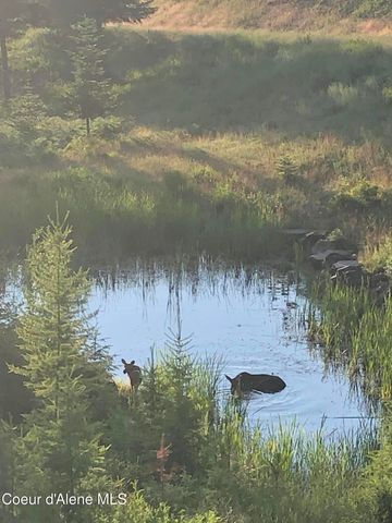 24102 N Derting RD, Hayden, ID 83835