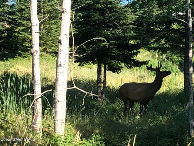 24102 N Derting RD, Hayden, ID 83835
