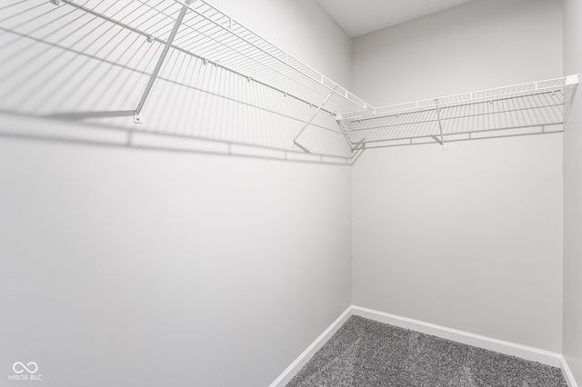 13832 N Cardonia Drive, Camby, IN 46113