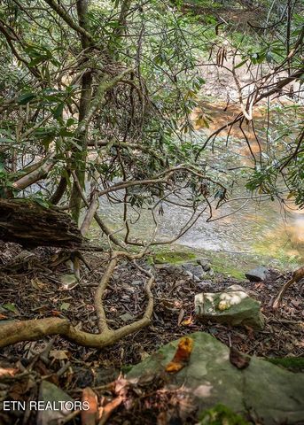 469 Ferry Bend Tr, Crossville, TN 38571