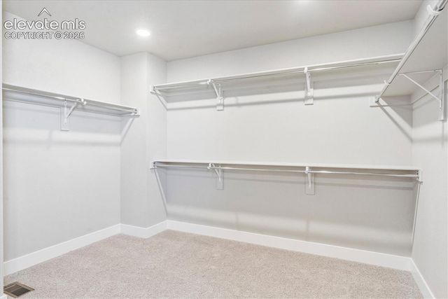 7891 Grey Bark Way, Colorado Springs, CO 80908