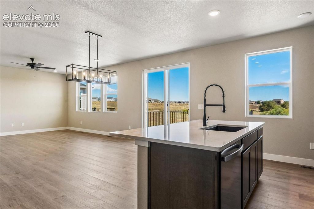 7891 Grey Bark Way, Colorado Springs, CO 80908 — photo 5