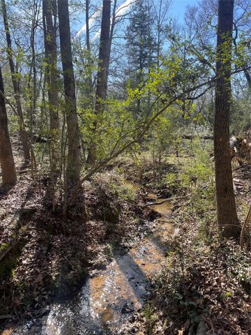 TBD Fm 1119, Centerville, TX 75833