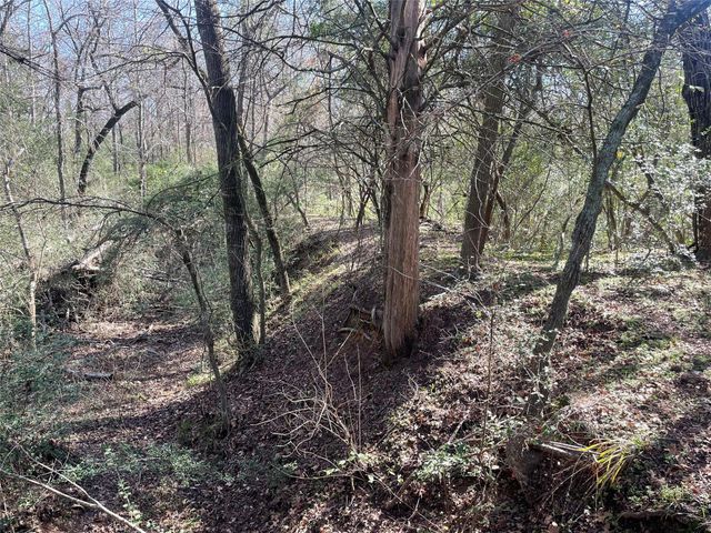 TBD Fm 1119, Centerville, TX 75833