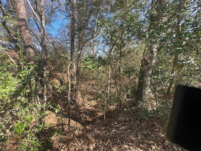 TBD Fm 1119, Centerville, TX 75833