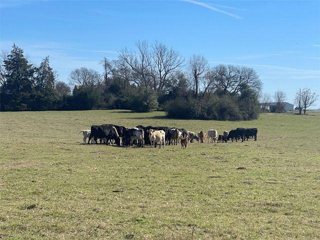 TBD Fm 1119, Centerville, TX 75833