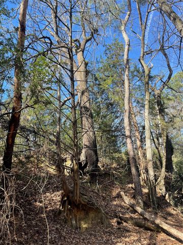 TBD Fm 1119, Centerville, TX 75833