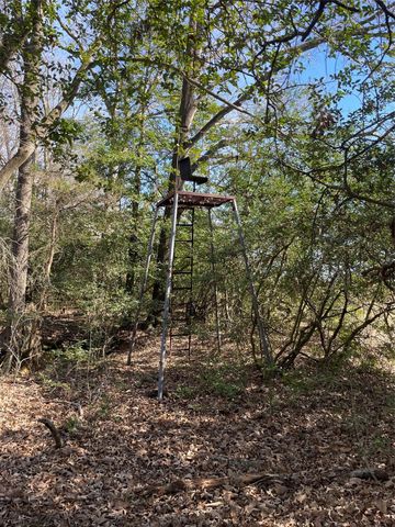 TBD Fm 1119, Centerville, TX 75833