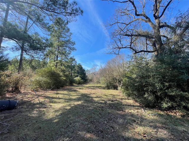TBD Fm 1119, Centerville, TX 75833