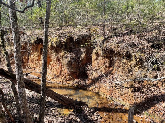 TBD Fm 1119, Centerville, TX 75833