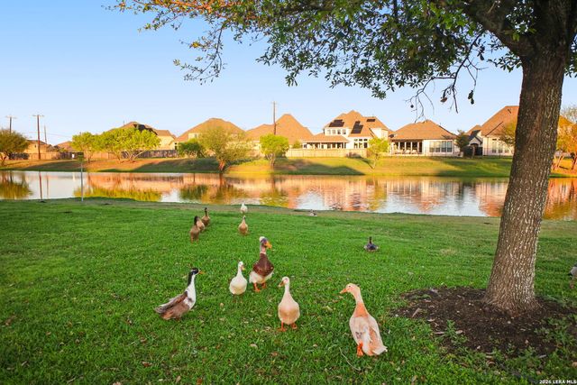 14406 RIFLEMAN RD, San Antonio, TX 78254