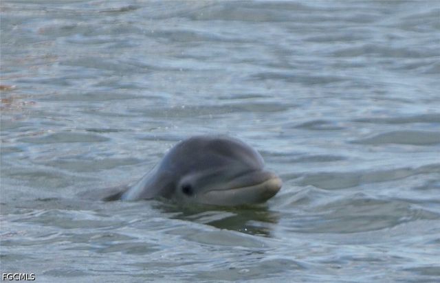 4821 S Landings DR 205, Fort Myers, FL 33919