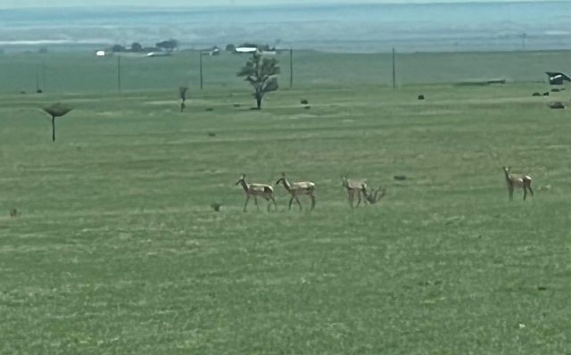 321 Riley Road, Estancia, NM 87016