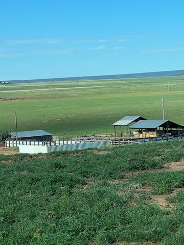 321 Riley Road, Estancia, NM 87016