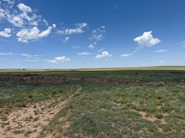 321 Riley Road, Estancia, NM 87016
