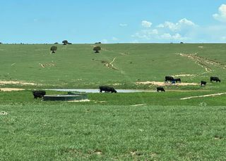 321 Riley Road, Estancia, NM 87016