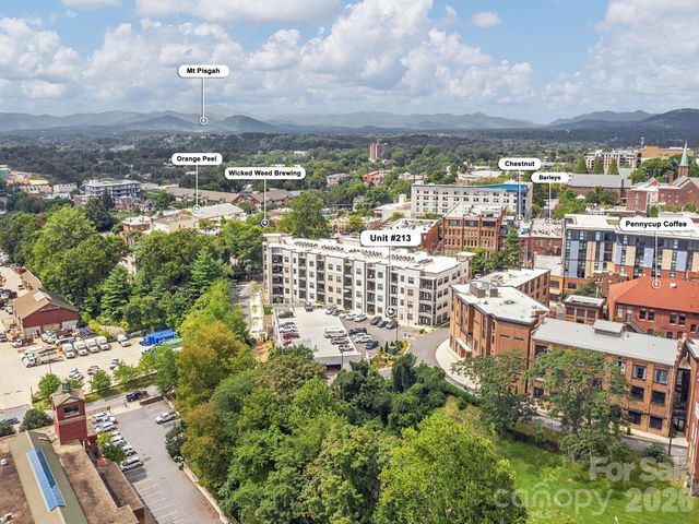 55 S Market Street 213, Asheville, NC 28801