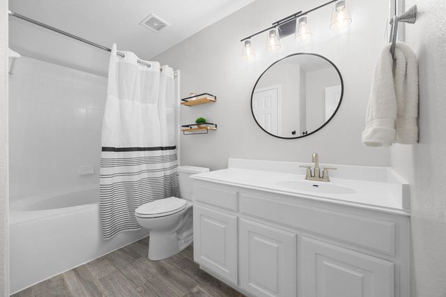 17041 Capri Isle LN, Austin, TX 78717