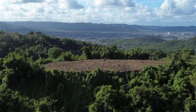 BO BORINQUEN, Caguas, PR 00725
