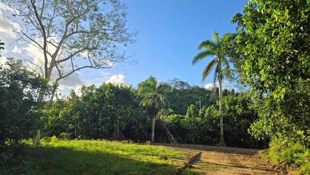 BO BORINQUEN, Caguas, PR 00725