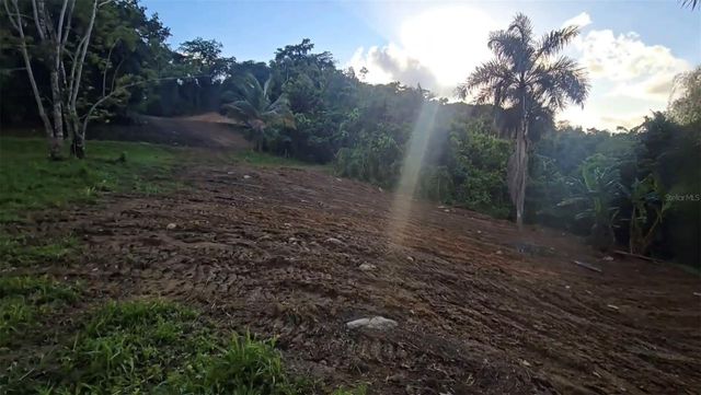 BO BORINQUEN, Caguas, PR 00725