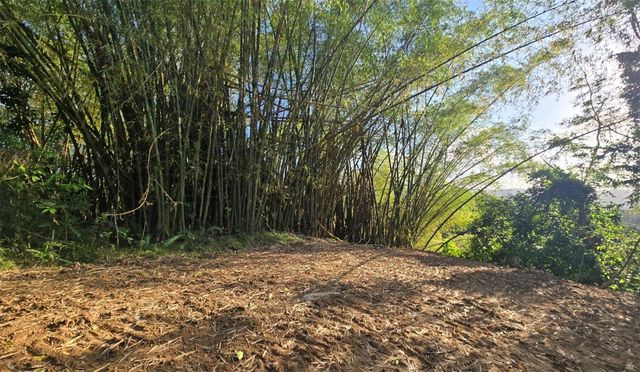 BO BORINQUEN, Caguas, PR 00725