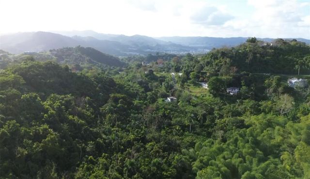 BO BORINQUEN, Caguas, PR 00725