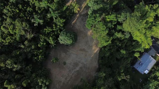 BO BORINQUEN, Caguas, PR 00725