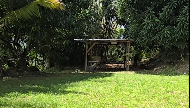 BO BORINQUEN, Caguas, PR 00725